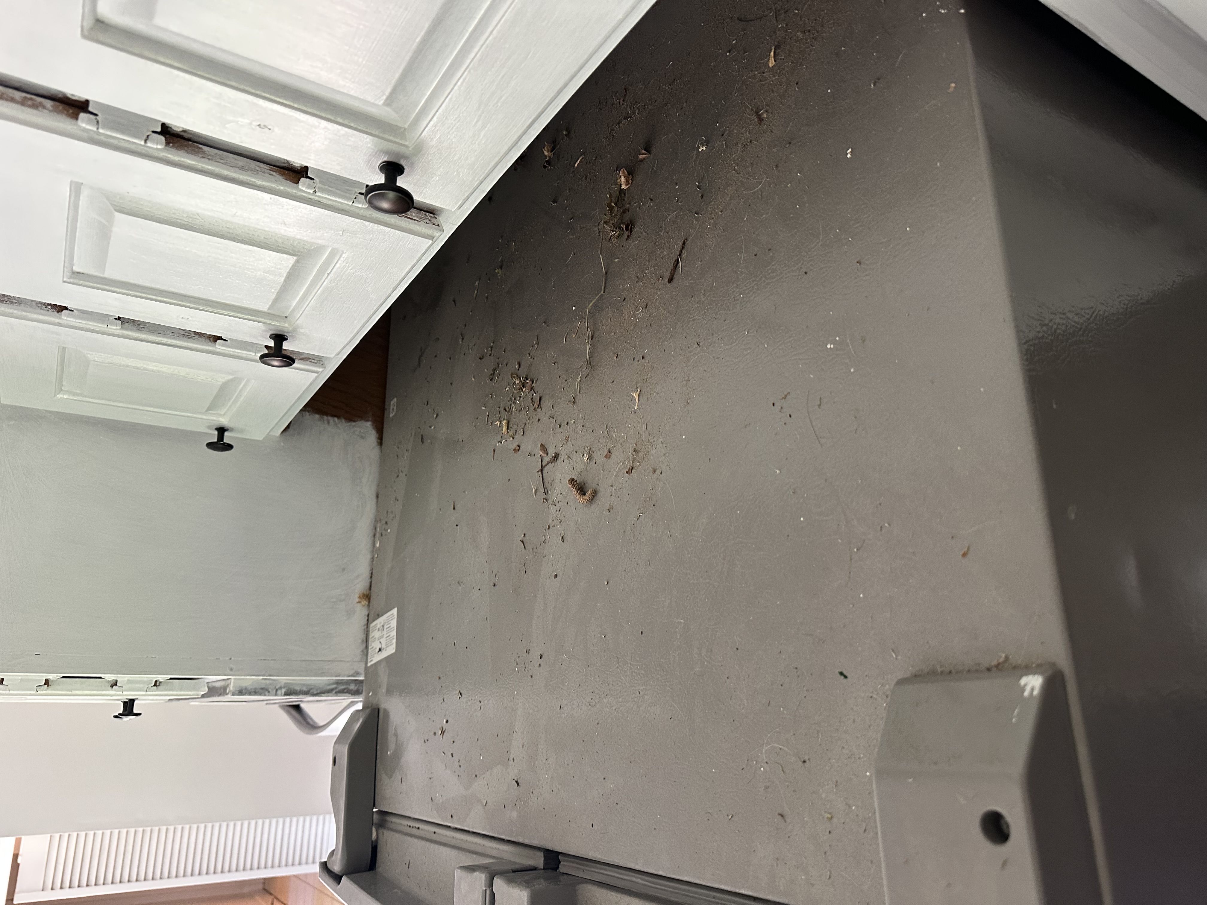 Top of fridge detail before cleaning